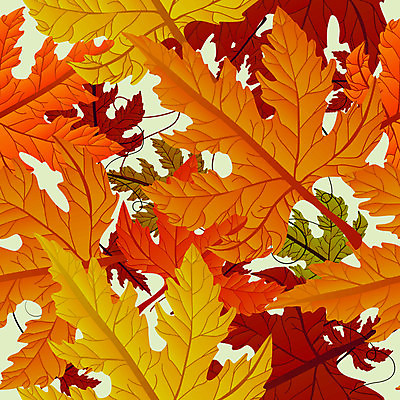 EPS 해외이미지 식물 디자인 계절 백그라운드 단풍 잎 캐나다 패턴 오렌지 일러스트 자연 추상 미술 빨간색 초록색 세트 환경 젖음 가을 붓 얼룩 변화 황금 숲 9월 11월 수집 질감 추수감사절 10월 내추럴 엘리먼트 옛날 플라타너스 해외202004 해외일러스트 나무 기독교 컬러 컨셉 북아메리카 무늬 과일 문화예술 날짜 생태계 파일형식 벡터 이미지허브