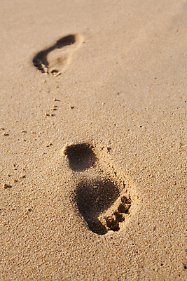 포토 JPG 해외이미지 아시아 길 모래 여행 맨발 태국 자연 휴가 새로움 사람 사람없음 여름 산책 자유 탐험 인쇄 발자국 흔적 통로 질감 바둑 단계 루트 벌거벗은 양발 각인 해외202004 해외포토 계절 나라 컨셉 자국 발 놀이 휴식 생태계 파일형식 이미지허브