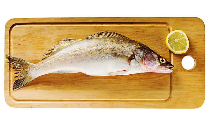 포토 JPG 해외이미지 동물 직업 디자인 산업 얼굴 야생동물 음식 스포츠 바다 백그라운드 자연 낚시 건강 어류 요리 앉기 취미 사람없음 옆모습 물 빛 강 머리 주방 줄무늬 활발 흰색 연못 신선 잡기 먹기 해산물 오브젝트 꼬리 날것 점심식사 고립 민물 해외202004 해외포토 자연요소 뷰포인트 컬러 컨셉 무늬 모션 레저 신체부위 식사 수중동물 생태계 파일형식 이미지허브