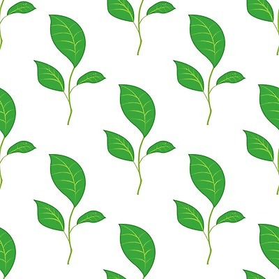 EPS 해외이미지 모양 식물 템플릿 디자인 배너 계절 백그라운드 컨셉 잎 꽃무늬 패턴 일러스트 자연 추상 미술 장식 초록색 여름 세트 환경 정원 봄 성장 흰색 신선 숲 심볼 오브젝트 에코 유기농 질감 내추럴 바이오 생태학 엘리먼트 해외202004 해외일러스트 웰빙 교육 꽃 컬러 무늬 문화예술 생태계 파일형식 벡터 이미지허브