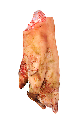 포토 JPG 해외이미지 음식 백그라운드 재료 육류 돼지고기 사람없음 흰색 돼지 맛 메뉴 고립 단백질 양발 정육점 해외202004 해외포토 컬러 컨셉 식재료 포유류 상점 영양소 파일형식 이미지허브