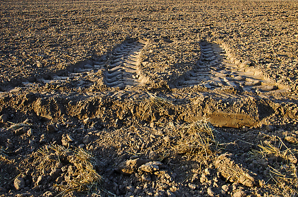포토 JPG 해외이미지 직업 음식 백그라운드 패턴 밭 농업 풍경 사람없음 농작물 농장 농경지 기계 흙 장비 운전 수확 성장 시골 작업 농부 땅 타이어 먼지 진흙 트랙터 짐차 추적 밭일 심기 조작 줄서기 세련 해외202004 해외포토 산업 무늬 모션 자동차 농기계 특수차량 파일형식 이미지허브