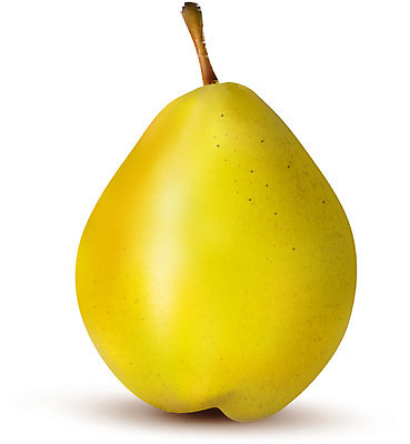 EPS 해외이미지 식물 음식 줄기 백그라운드 잎 2 다이어트 과일 일러스트 자연 디저트 건강 빨간색 초록색 노란색 흰색 신선 달콤 오브젝트 유기농 날것 망고 내추럴 고립 숙성 채식주의자 해외202004 해외일러스트 웰빙 컬러 맛 열대과일 생태계 채식 파일형식 벡터 이미지허브