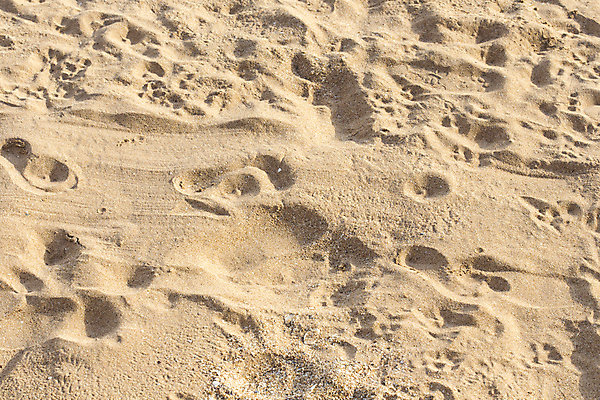 포토 JPG 해외이미지 디자인 모래 파도 바다 섬 여행 백그라운드 패턴 자연 표면 바람 추상 휴가 건조 해변 사람없음 물 컬러풀 태양 갈색 노란색 우주 흙 사막 흰색 낟알 모래언덕 질감 내추럴 생태학 이국적 혼자 해외202004 해외포토 자연요소 교육 컬러 무늬 날씨 언덕 생태계 파일형식 이미지허브