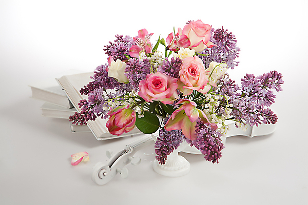 포토 JPG 해외이미지 디자인 꽃 문화 음악 꽃다발 백그라운드 잎 자연 미술 사람없음 장식 빨간색 초록색 흰색 기구 화려 닫기 꽃집 바이올린 고립 구성 해외202004 해외포토 식물 컬러 컨셉 모션 현악기 문화예술 상점 생태계 파일형식 이미지허브