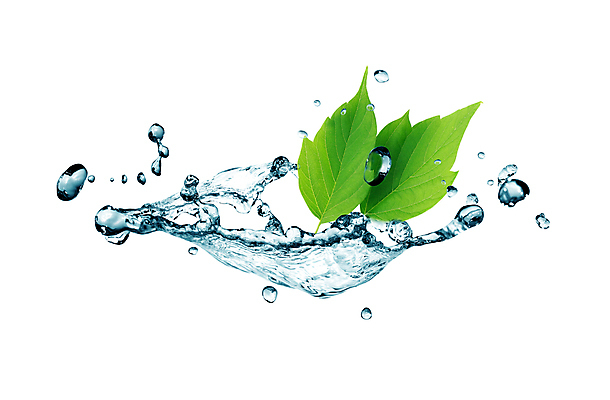 포토 JPG 해외이미지 식물 디자인 백그라운드 이동 컨셉 잎 모션 자연 추상 건강 사람없음 물 파란색 봄 거품 흐름 에너지 신선 액체 개울 떨어짐 생태학 스플래쉬 해외202004 해외포토 자연요소 계절 교육 컬러 무늬 강 생태계 파일형식 이미지허브