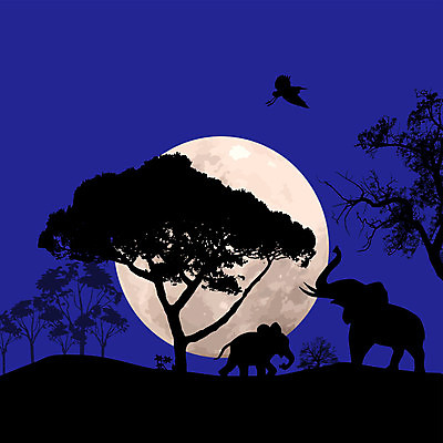 EPS 해외이미지 나무 식물 동물 공원 실루엣 야생동물 여행 일러스트 포유류 아프리카 자연 조류 아침 코끼리 파노라마 미술 풍경 여름 파란색 빛 햇빛 태양 일출 침묵 황혼 일몰 새벽 사막 자유 사파리 상승 장면 동물상 사바나 수평선 해외202004 해외일러스트 주간 자연요소 계절 공공시설 나라 컬러 컨셉 문화예술 촬영기법 조형물 노을 소리 생태계 파일형식 벡터 이미지허브