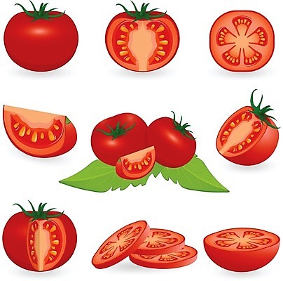 EPS 해외이미지 식물 라이프스타일 디자인 음식 조각 백그라운드 잎 농업 인터넷 토마토 채소 일러스트 재료 부분 자연 건강 요리 씨앗 초록색 빛 농작물 컴퓨터 세트 웹 수확 가을 흰색 신선 그리기 그룹 자르기 수집 먹기 심볼 오브젝트 그림 유기농 날것 슬라이스 고립 구역 숙성 식용 엘리먼트 채식주의자 개조 해외202004 해외일러스트 웰빙 계절 산업 컬러 모션 생활 전자제품 생태계 채식 파일형식 벡터 이미지허브