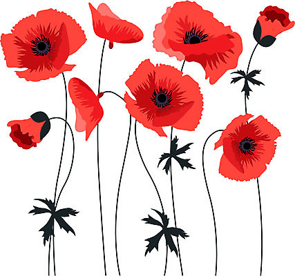 EPS 해외이미지 식물 디자인 꽃 백그라운드 잎 꽃무늬 패턴 밭 일러스트 자연 미술 잔디 장식 빨간색 여름 머리 검은색 봄 들꽃 성장 흰색 인사 신용카드 그룹 그림 양귀비 해외202004 해외일러스트 계절 컬러 무늬 농업 문화예술 신체부위 금융 예절 생태계 파일형식 벡터 이미지허브