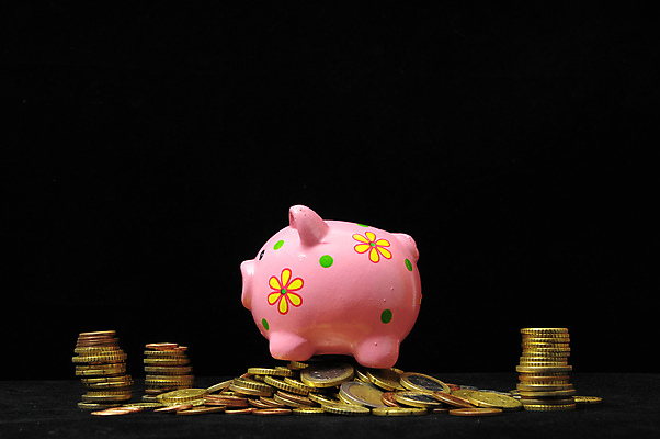 포토 JPG 해외이미지 1 손 분홍색 백그라운드 컨셉 돈 비즈니스 부분 미래 아이디어 사람 사람없음 금융 경제 빛 상자 달러 동전 저축 흰색 도자기 절약 재산 오브젝트 반쪽 투자 슛 깨짐 자금 경제학 해외202004 해외포토 교육 컬러 신체부위 파일형식 이미지허브