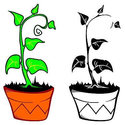 EPS 해외이미지 클립아트 식물 디자인 꽃 화분 화초 잎 꽃무늬 일러스트 자연 주택 실내 장식 초록색 정원 봄 성장 흰색 냄비 만화 원예 고립 생태학 해외202004 해외일러스트 계절 교육 컬러 무늬 취미 내부 건물 솥 생태계 파일형식 벡터 이미지허브