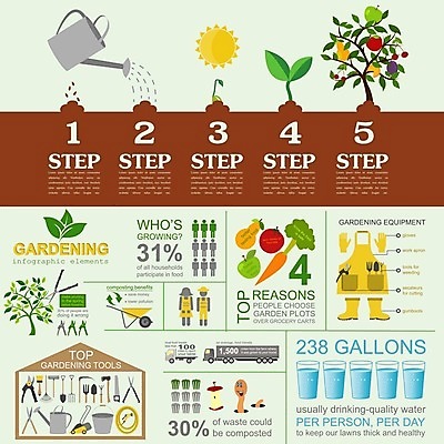 EPS 해외이미지 나무 식물 꽃 장갑 채소 과일 일러스트 사람 잔디 초록색 세트 정원 흙 수레 인포그래픽 정보 도구 공구 작업 캔 냄비 농부 모종삽 삽 심볼 물주기 원예 원예사 해외202004 해외일러스트 직업 잡화 컬러 모션 취미 카트 솥 파일형식 벡터 이미지허브