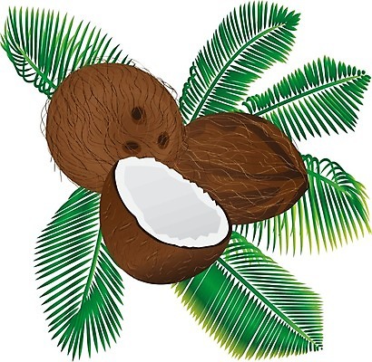 EPS 해외이미지 라이프스타일 음식 백그라운드 농업 채소 과일 일러스트 부분 열대 건강 손바닥 그래픽 장식 여름 갈색 식사 견과류 시골 원형 달콤 상품 자르기 먹기 유기농 코코넛 밀짚 내추럴 고립 영양분 채식주의자 해외202004 해외일러스트 도형 손 웰빙 계절 산업 컬러 모션 생활 맛 짚 채식 파일형식 벡터 이미지허브