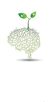 EPS 해외이미지 나무 식물 지구 과학 컨셉 잎 농업 일러스트 해부 자연 새로움 사람 그래픽 초록색 머리 새싹 환경 정원 희망 봄 성장 흰색 마음 감각 오르간 보호 작음 불안 심볼 뇌 유기농 원예 뿌리 먼지 시스템 내추럴 개발 고립 돌봄 모종 생태학 엘리먼트 취급주의 생존 해외202004 해외일러스트 웰빙 계절 교육 감정 산업 컬러 의학 모션 경고 취미 신체부위 건반악기 크기 생태계 파일형식 벡터 이미지허브