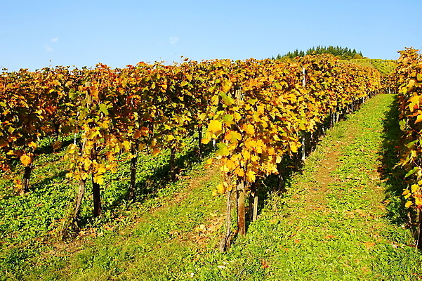 포토 JPG 해외이미지 사람없음 해외202004 해외포토 파일형식 이미지허브