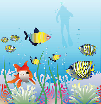 EPS 해외이미지 식물 동물 디자인 야생동물 바다 여행 백그라운드 오렌지 일러스트 자연 휴식 어류 장식 빨간색 초록색 물 파란색 빛 반려동물 컬러풀 환경 검은색 수중 줄무늬 거품 산호 잠수부 암초 커뮤니티 해외202004 해외일러스트 자연요소 컬러 컨셉 무늬 과일 수중동물 자포동물 전문직 생태계 파일형식 벡터 이미지허브