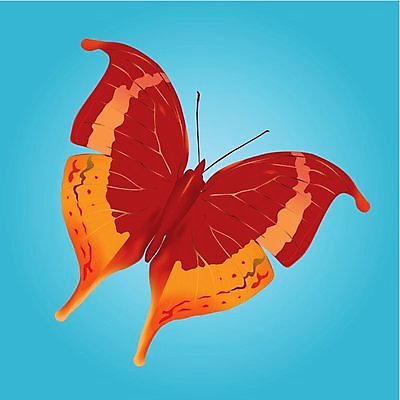 EPS 해외이미지 디자인 나비 곤충 백그라운드 날개 일러스트 자연 하늘 추상 미술 장식 여름 파란색 노란색 우주 비행 우아함 싱글 심플 망사 나방 고립 해외202004 해외일러스트 동물 계절 컬러 컨셉 무늬 문화예술 직물 생태계 파일형식 벡터 이미지허브