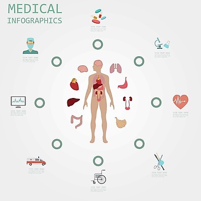 EPS 해외이미지 과학 컨셉 신체 일러스트 해부 그래프 골격 건강 병원 주사기 사람 내부 그래픽 세트 자료 의사 정보 하트 오르간 신장 치아 DNA 구급차 심볼 사인 뇌 생물학 간 시스템 돌봄 엘리먼트 해외202004 해외일러스트 모양 교육 의학 의료기기 모션 자동차 의료진 소화기관 장기_의학 건반악기 비뇨기관 생명공학 파일형식 벡터 이미지허브