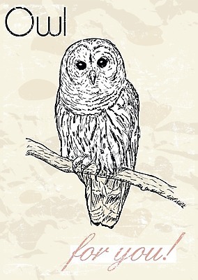 EPS 해외이미지 디자인 배너 커플 행복 포스터 어린이 결혼 백그라운드 일러스트 캘리그라피 남편 휴가 발렌타인데이 선물 사랑 장식 세트 라벨 수확 흰색 하트 아기 인사 아내 신용카드 달콤 복고 엽서 초대 부엉이 2월 필기체 해외202004 해외일러스트 모양 문자 감정 컬러 농업 관계 데이이벤트 조류 프레임 사람 이벤트 금융 예절 날짜 맛 편지 파일형식 벡터 이미지허브