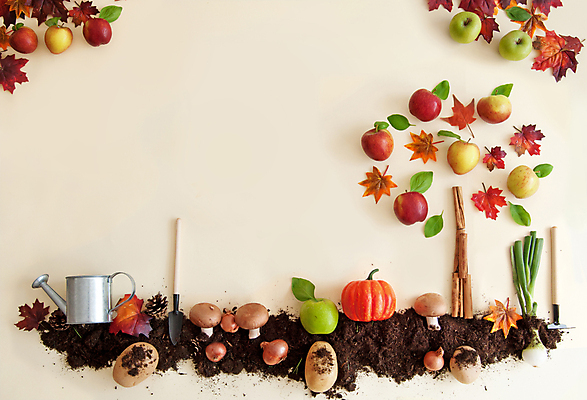 포토 JPG 해외이미지 나무 계절 음식 백그라운드 단풍 잎 농업 채소 과일 재료 사람없음 농작물 판매 세일 우주 흙 수확 성장 가을 시장 사과 과수원 유기농 지역 추수감사절 밭일 카피스페이스 해외202004 해외포토 식물 웰빙 산업 기독교 공백 파일형식 이미지허브