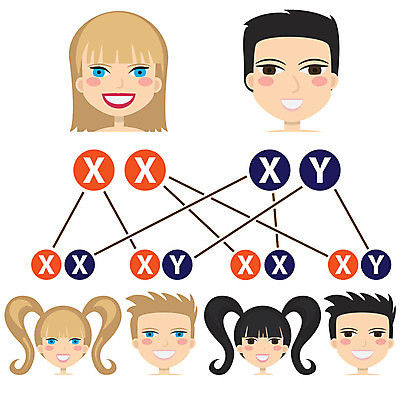 EPS 해외이미지 여자 남자 딸 아들 과학 일러스트 엄마 사람 소년 약 임신 아기 아빠 DNA 생명공학 편지 심볼 생물학 염색체 문제 성별 해외202004 해외일러스트 교육 어린이 의학 가족 파일형식 벡터 이미지허브