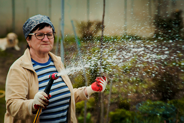 포토 JPG 해외이미지 식물 라이프스타일 여자 노년 행복 컨셉 농업 자연 주택 한명 사람 풍경 잔디 성인 취미 야외 초록색 물 여름 환경 정원 성장 신선 잡기 뿌리기 물주기 에코 원예 분무기 호스 노즐 돌봄 뒤뜰 옛날 원예사 해외202004 해외포토 자연요소 직업 1 계절 감정 산업 컬러 모션 건물 생활 생태계 파일형식 이미지허브