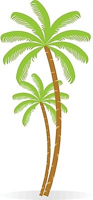 EPS 해외이미지 나무 식물 디자인 길 음료 음식 백그라운드 잎 농업 과일 일러스트 자연 건강 손바닥 초록색 물 여름 파란색 농장 정원 성장 흰색 나뭇가지 신선 달콤 큼 다발 코코넛 내추럴 고립 해외202004 해외일러스트 자연요소 손 계절 산업 컬러 맛 크기 생태계 파일형식 벡터 이미지허브