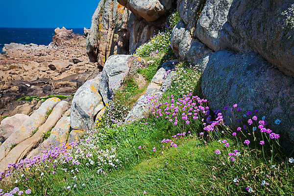 포토 JPG 해외이미지 유럽 바다 여행 사람없음 건물 물 여름 여행객 프랑스 바위 갑옷 프랑스어 해외202004 해외포토 자연요소 문자 건축물 계절 나라 사람 돌_바위 보호장비 파일형식 이미지허브