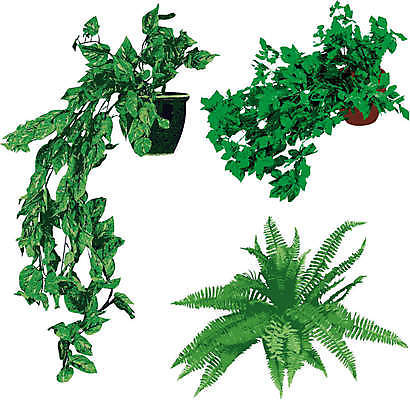 EPS 해외이미지 식물 화분 컨셉 잎 일러스트 새로움 사람없음 초록색 새싹 정원 희망 흙 펼침 성장 신선 에코 원예 내추럴 밭일 해외202004 해외일러스트 감정 컬러 모션 취미 환경 파일형식 벡터 이미지허브