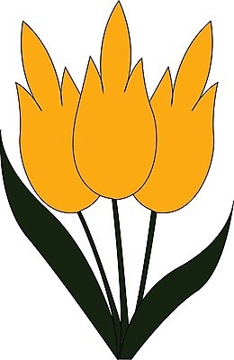 EPS 해외이미지 식물 계절 꽃잎 꽃 겨울 일러스트 자연 사랑 초록색 노란색 정원 신선 개화 숲 그림 헌병 해외202004 해외일러스트 감정 컬러 군인 생태계 파일형식 벡터 이미지허브