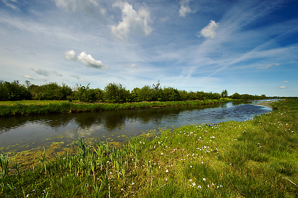 포토 JPG 해외이미지 주간 구름 계절 꽃 밭 자연 하늘 날씨 풍경 사람없음 초록색 물 파란색 강 맑음 봄 흰색 시골 개울 네덜란드 해외202004 해외포토 자연요소 식물 유럽 컬러 농업 생태계 파일형식 이미지허브