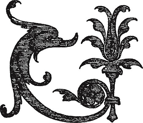 EPS 해외이미지 선 일러스트 미술 사람없음 검은색 흰색 타일 돌고래 그림 판화 시에나 해외202004 해외일러스트 컬러 포유류 문화예술 수중동물 파일형식 벡터 이미지허브