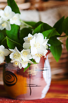 포토 JPG 해외이미지 식물 계절 꽃잎 꽃 꽃다발 백그라운드 잎 꽃무늬 자연 건강 사람없음 야외 초록색 햇빛 태양 노란색 정원 봄 활발 벚꽃 흰색 나뭇가지 신선 개화 다발 아로마 부드러움 내추럴 단아함 해외202004 해외포토 자연요소 나무 컬러 컨셉 무늬 감각 생태계 파일형식 이미지허브