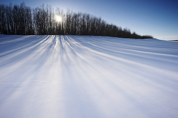 포토 JPG 해외이미지 주간 겨울 자연 하늘 사람없음 야외 햇빛 설원 겨울풍경 해외202004 해외포토 자연요소 계절 눈_날씨 풍경 태양 생태계 파일형식 이미지허브