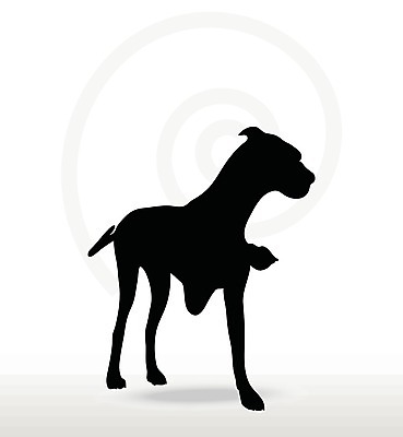 EPS 해외이미지 동물 실루엣 새끼 포즈 일러스트 포옹 자연 그림자 그래픽 검은색 개 강아지 스케치 흰배경 사냥개 윤곽 경례 송곳니 고립 엘리먼트 해외202004 해외일러스트 컬러 백그라운드 포유류 안기 촬영기법 미술 반려동물 흰색 인사 치아 생태계 파일형식 벡터 이미지허브