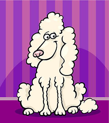 EPS 해외이미지 클립아트 동물 캐릭터 행복 벽 일러스트 벽지 바닥 주택 앉기 그래픽 반려동물 줄무늬 흰색 개 강아지 만화 크림 그림 코 꼬리 푸들 코믹 솜털 주둥이 송곳니 기르기 마스코트 유래 해외202004 해외일러스트 일러캐릭터 감정 컬러 무늬 포유류 모션 건물 신체부위 치아 돌봄 파일형식 벡터 이미지허브