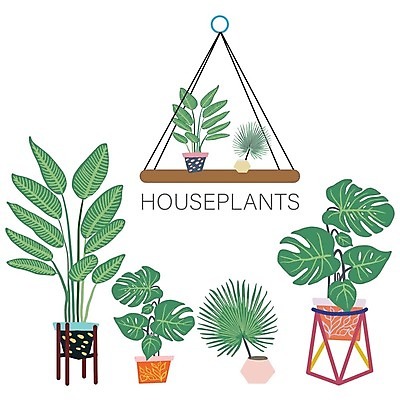 EPS 해외이미지 식물 템플릿 디자인 배너 계절 실루엣 포스터 결혼 백그라운드 잎 꽃무늬 일러스트 자연 휴가 프레임 손바닥 미술 그래픽 장식 초록색 여름 파티 유행 정원 봄 수확 신용카드 인쇄 질감 복고 하와이 초대 내추럴 엘리먼트 이국적 파라다이스 하와이인 미니멀 해외202004 해외일러스트 외국인 손 꽃 컬러 무늬 농업 문화예술 촬영기법 이벤트 금융 미국 생태계 파일형식 벡터 이미지허브