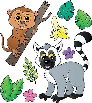 EPS 해외이미지 동물 응시 행복 야생동물 잎 일러스트 포유류 자연 바나나 동물원 미술 세트 나뭇가지 그리기 수집 그림 고립 동물상 여우원숭이 테마 스타일 해외202004 해외일러스트 나무 식물 시선 감정 과일 모션 문화예술 조형물 원숭이 생태계 파일형식 벡터 이미지허브