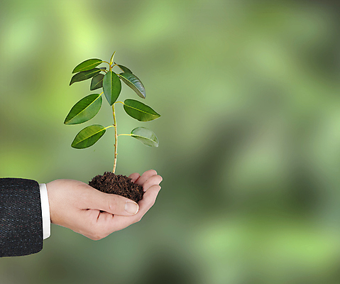 포토 JPG 해외이미지 나무 식물 손 남자 지구 백그라운드 컨셉 잎 자연 선물 사람 사람없음 초록색 새싹 환경 흙 성장 보호 생물학 개발 모종 생태학 심기 해외202004 해외포토 교육 컬러 모션 신체부위 생태계 파일형식 이미지허브