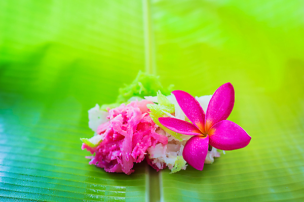포토 JPG 해외이미지 식물 꽃 어린이 음식 백그라운드 잎 오렌지 과일 태국 자연 디저트 바나나 사탕 사람없음 목재 빨간색 초록색 컬러풀 노란색 쌓기 흰색 닫기 달콤 설탕 먹기 대나무 코코넛 흙더미 고립 해외202004 해외포토 나무 아시아 컬러 재료 모션 사람 흙 맛 생태계 파일형식 더미 이미지허브
