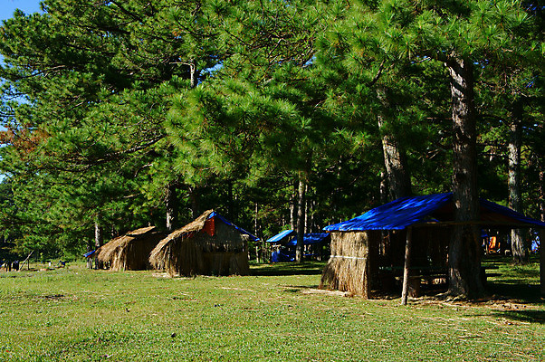 포토 JPG 해외이미지 아시아 호수 여행 자연 그림자 동양인 풍경 사람없음 초록색 물 강 환경 화목 놀람 시골 신선 소나무 만족 에코 생태계 조경 베트남 장면 내추럴 생태학 줄서기 해외202004 해외포토 자연요소 나무 교육 감정 나라 컬러 컨셉 모션 표정 인종 동남아시아 파일형식 이미지허브