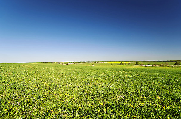 포토 JPG 해외이미지 나무 식물 구름 백그라운드 밭 농업 자연 하늘 풍경 사람없음 야외 초록색 여름 파란색 노란색 맑음 봄 민들레 수평선 해외202004 해외포토 자연요소 계절 꽃 산업 컬러 날씨 생태계 파일형식 이미지허브