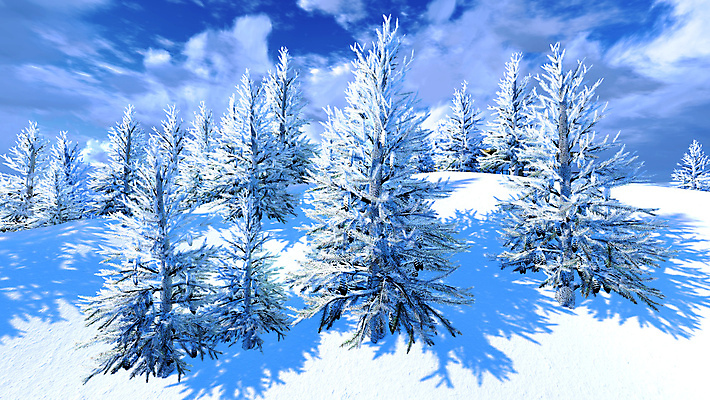 포토 JPG 해외이미지 주간 나무 겨울 자연 하늘 사람없음 야외 설원 겨울풍경 해외202004 눈덮임 해외포토 자연요소 식물 계절 컨셉 눈_날씨 풍경 생태계 파일형식 이미지허브