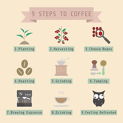 EPS 해외이미지 식물 커피 음료 잎 일러스트 유리 돋보기 씨앗 사람없음 컵 숫자 새싹 인포그래픽 머그컵 원두 신선 체리 플랫 굽기 심볼 부엉이 그라인더 아메리카노 카푸치노 에스프레소 단계 따뜻한음료 라떼 모카 방법 카페인 해외202004 해외일러스트 문자 식기 과일 재질 조류 구이 커피용품 파일형식 벡터 이미지허브