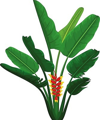 EPS 해외이미지 식물 디자인 꽃잎 꽃 줄기 꽃다발 백그라운드 잎 꽃무늬 오렌지 일러스트 자연 조류 장식 빨간색 초록색 여름 컬러풀 정원 봄 벚꽃 흰색 숲 배열 묘사 원예 생물학 하와이 고립 이국적 절정 파라다이스 현실 해외202004 해외일러스트 동물 계절 교육 컬러 무늬 과일 취미 미국 생태계 파일형식 벡터 이미지허브