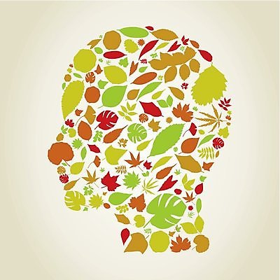 EPS 해외이미지 나무 식물 단풍 잎 꽃무늬 일러스트 사람 사람없음 여름 봄 해외202004 해외일러스트 계절 꽃 무늬 파일형식 벡터 이미지허브