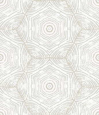 EPS 해외이미지 손 디자인 종이 선 백그라운드 패턴 일러스트 벽지 추상 미술 그래픽 장식 유행 웹 회색 수확 직물 화려 낙서 인쇄 타일 그림 질감 손그림 육각형 그런지 엘리먼트 옛날 특별함 스타일 해외202004 해외일러스트 도형 컬러 컨셉 무늬 농업 인터넷 문화예술 신체부위 파일형식 벡터 이미지허브