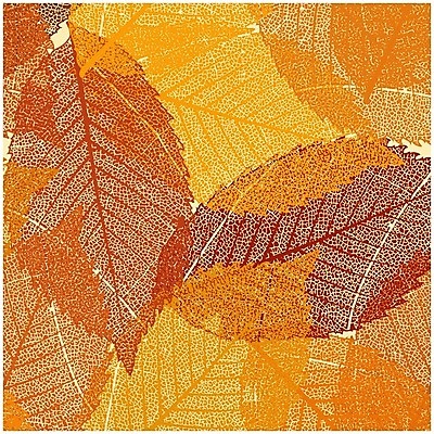 EPS 해외이미지 나무 식물 계절 공원 실루엣 선 백그라운드 단풍 낙엽 잎 꽃무늬 패턴 오렌지 일러스트 자연 건조 빛 컬러풀 갈색 노란색 가을 흰색 황금 숲 9월 타일 질감 정맥 10월 내추럴 강렬 해외202004 해외일러스트 공공시설 꽃 컬러 무늬 과일 촬영기법 날짜 생태계 혈관 파일형식 벡터 이미지허브