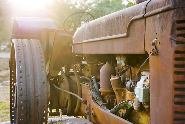 포토 JPG 해외이미지 나무 밭 농업 교통시설 자연 사람없음 빨간색 초록색 농장 금속 기계 장비 수확 골동품 시골 업무 바퀴 그릴 부식 복고 트랙터 원시시대 밭일 옛날 쟁기 해외202004 해외포토 식물 산업 컬러 교통 재질 주방용품 작업 역사 농기계 시설 생태계 특수차량 파일형식 이미지허브