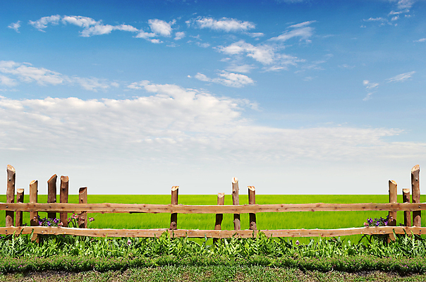 포토 JPG 해외이미지 계절 공원 백그라운드 밭 농업 자연 하늘 날씨 풍경 사람없음 야외 목재 초록색 여름 파란색 울타리 컬러풀 농장 농경지 환경 시골 신선 고독 땅 장면 밭일 해외202004 해외포토 나무 공공시설 감정 산업 컬러 재료 담장 생태계 파일형식 이미지허브
